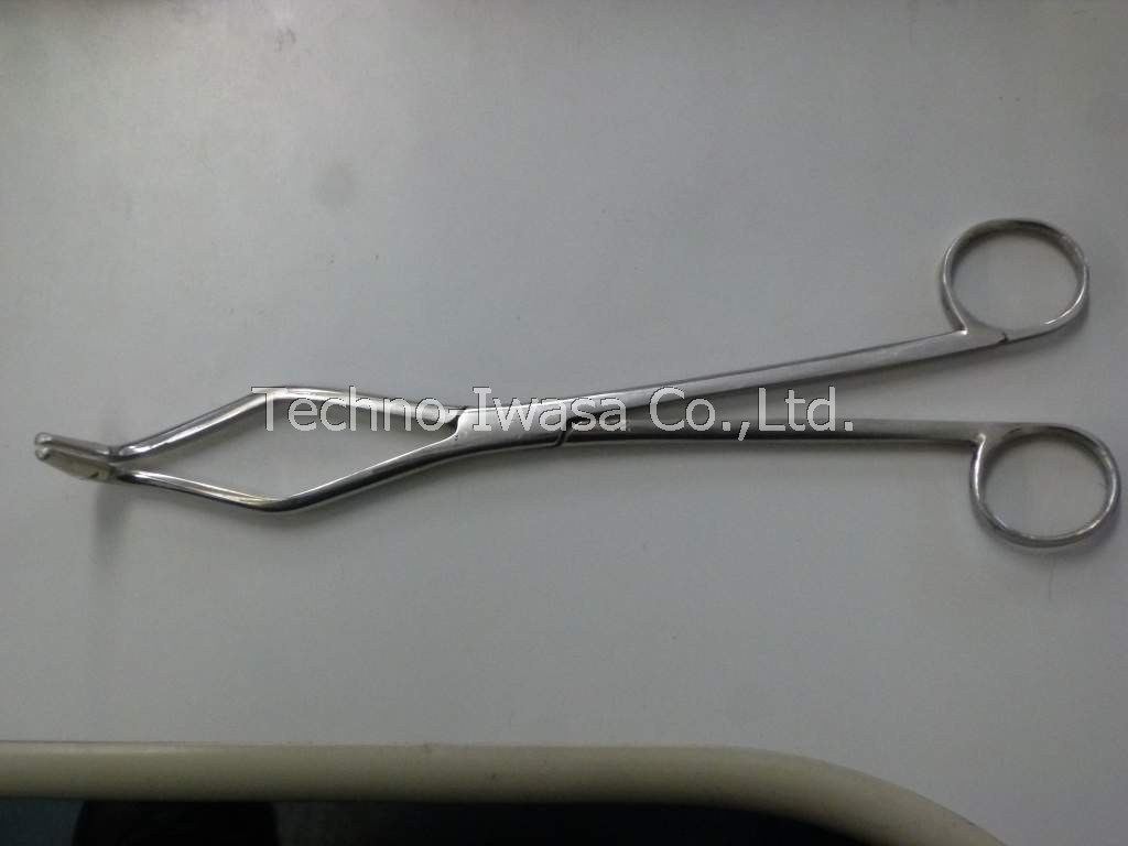 ���������t���ݸ�